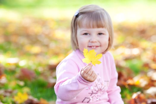 portrait of a beautiful little girl holding a maple leaf in his hand