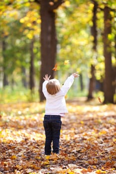 beautiful little girl throwing leaves  in the forest  