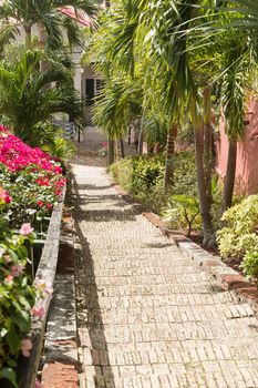 Ninety nine steps framed by red flower blossom in Charlotte Amalie St Thomas