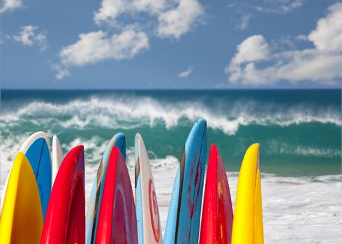 TIps of surf board or surfboards at Lumahai beach in Kauai Hawaii on sandy shore by ocean