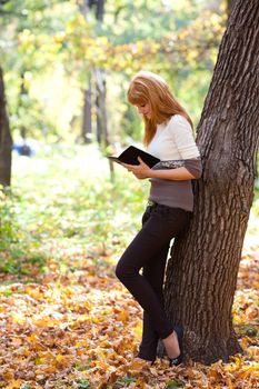 portrait of a beautiful young redhead teenager woman reading a book