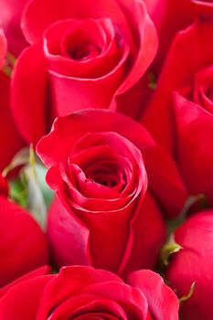 background of a beautiful bouquet of red roses