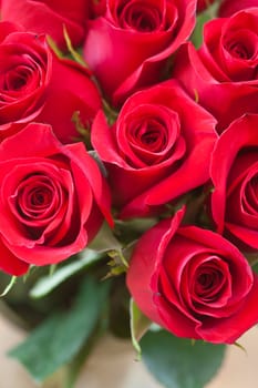 background of a beautiful bouquet of red roses