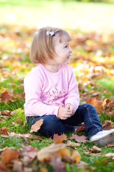 beautiful little girl sitting on the autumn leaves