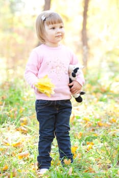 beautiful little girl on the autumn forest