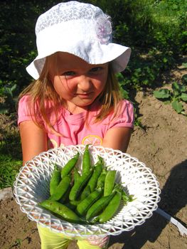 The image of little girl with a plate of peas