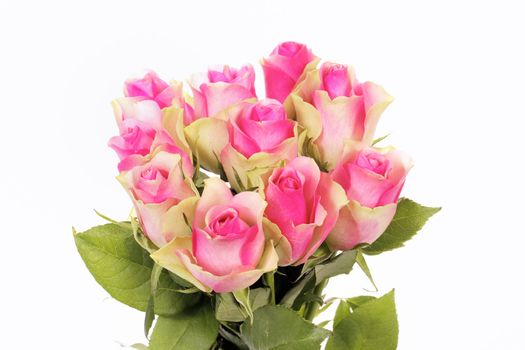 bouquet of pink roses isolated on white 
