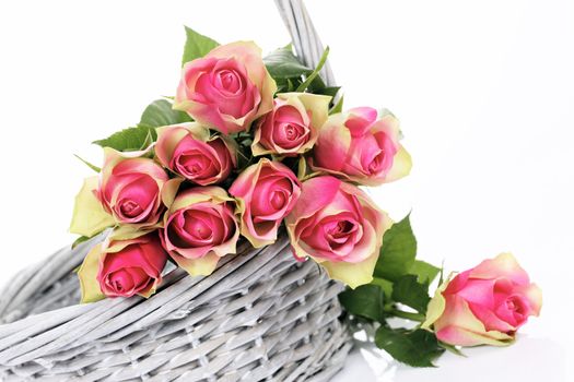 crop of roses in the Basket on white background