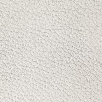 white leather texture close up