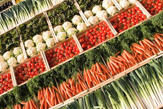 different types of fresh vegetables on market