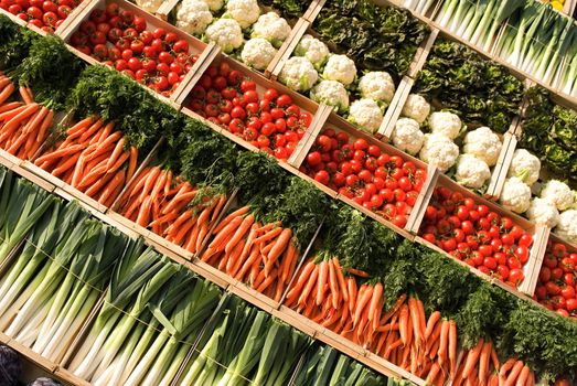 many fresh, different types of vegetables on market