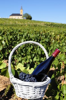 bottle of wine and grappes in basket and church, France