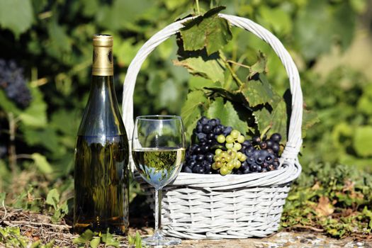 glass and bottle of white wine with grapes in basket