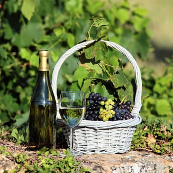 glass and bottle of wine with grapes in basket