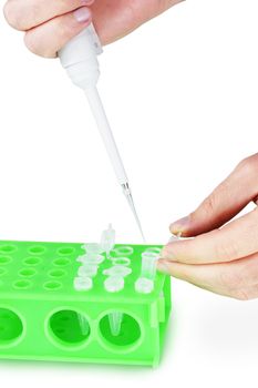 Researcher using a micropipette to fill vials, can be genetic tests or other laboratory experiment.
