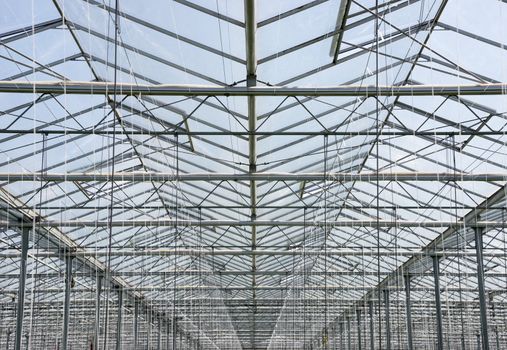 glass roof of greenhouse