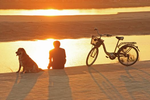 Person admiring sunset over river with dog and bicycle