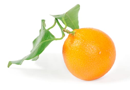 Tangerine with green leaves isolated on white