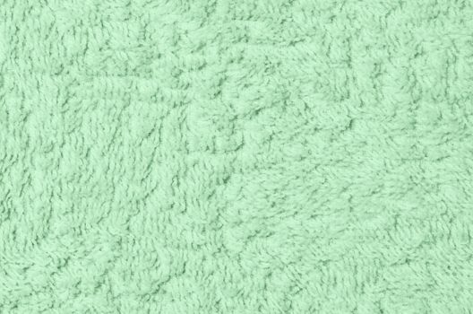 Wool sheep closeup