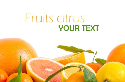 Fruits citrus on white