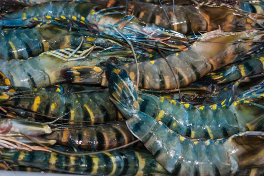 shrimp and other seafood on ice at a market in Thailand