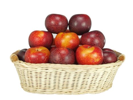 isolated basket of fresh and crunchy victorian plums