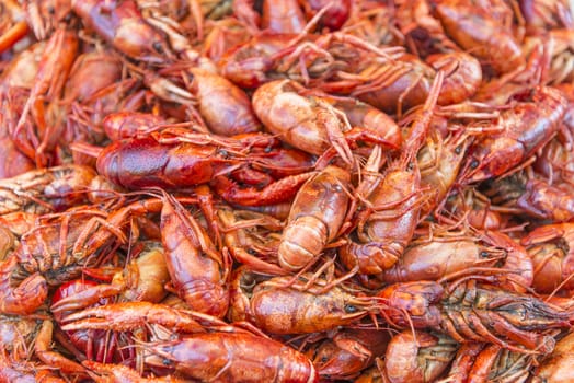 big prawns in market stall