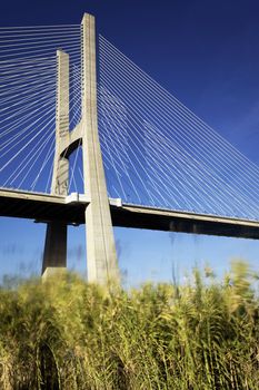 The famous Vasco da Gama bridge and grenn grass in Lisbon, Portugal 
