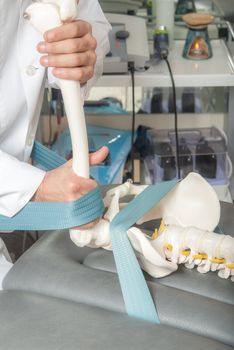 Manual, physio and kinesio therapy techniques performed by a male physiotherapist on a training plastic spine and a female patient