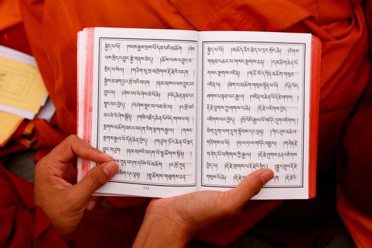 9726 Biddhist Tibetan Text - Nepal