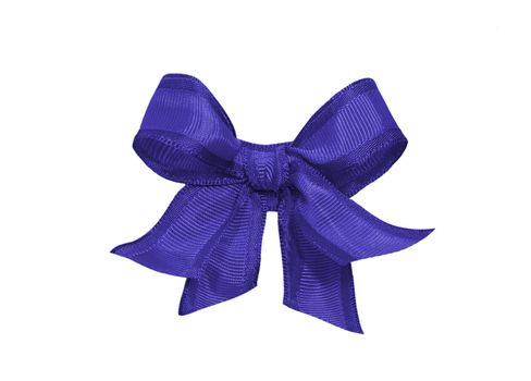 purple bow isolated