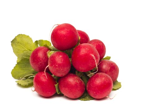 Fresh red radish isolated on white background