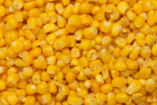 Canned corn background