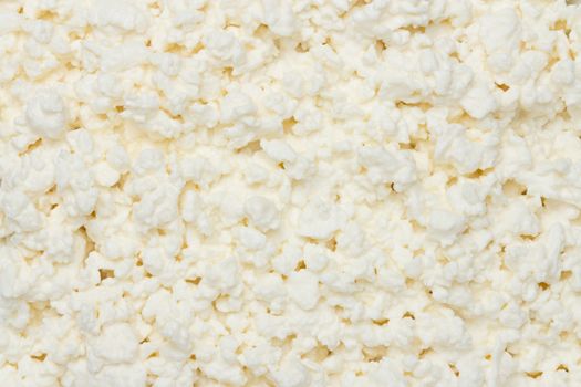  cheese background