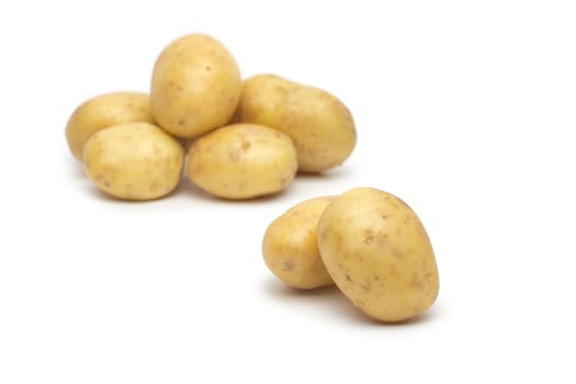 potato isolated on white background close up