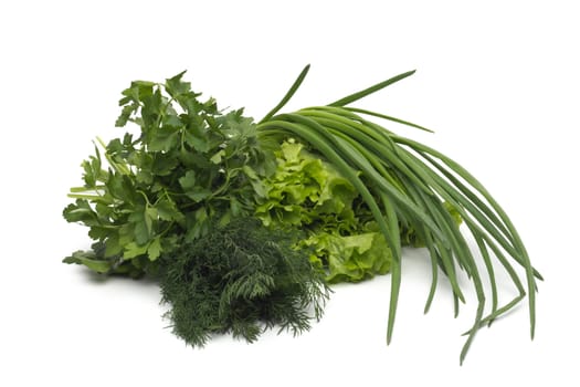 fresh green grass parsley dill onion herbs mix