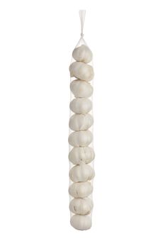 bunch of garlic with precise