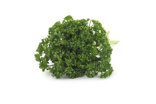 Bunch of fresh green parsley isolated on white background