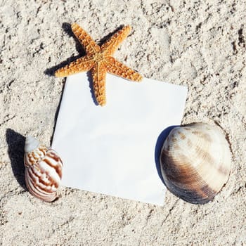 Messages between sands and shells on caribbean beach