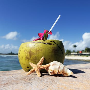 Coconut with drinking straw on a beach at the caribbean sea 