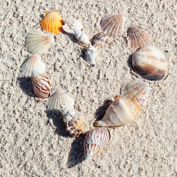 heart made with shells on sand of a beach