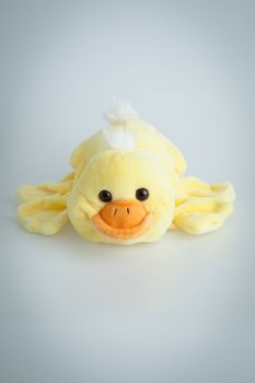 Yellow stuffed duck isolated