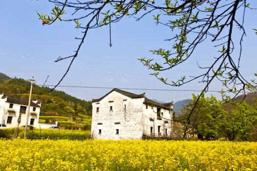 Rural houses in Wuyuan, Jiangxi Province, China.