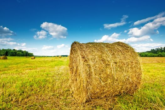 Haystack assembled on the field