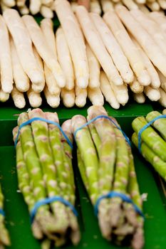 collection of fresh seasonal asparagus vegetable on market 