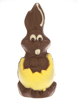 chocolate bunny on a white background