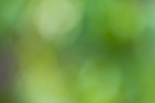 defocus of green background