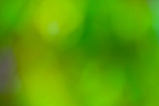 defocus of green background