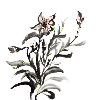 Chinese traditional ink painting flowers on white background.