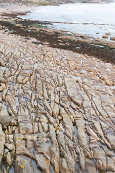 Detailed image of coastal rock formation in the UK